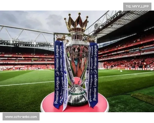 英超社区健康项目参与，公共卫生贡献